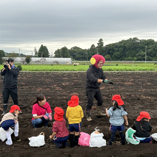 さつまいも堀り体験